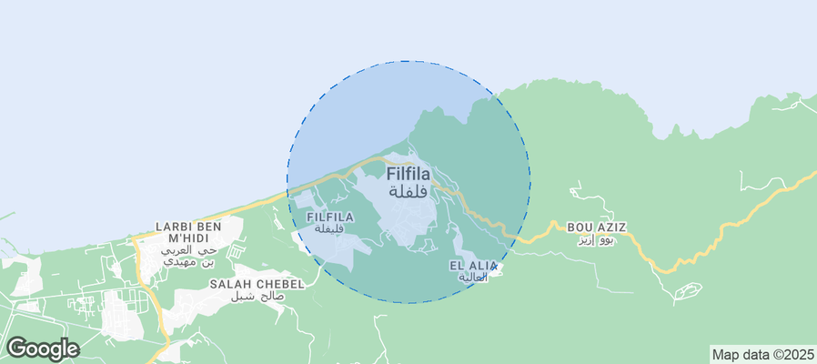 Discover Filfila Airbnb Analytics