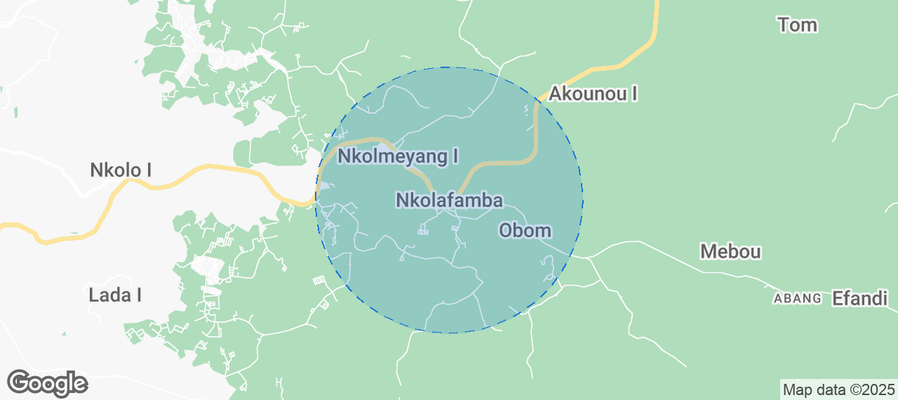 Discover Nkolafamba Airbnb Analytics