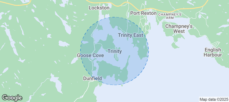 Map of Airbnb listings in Trinity
