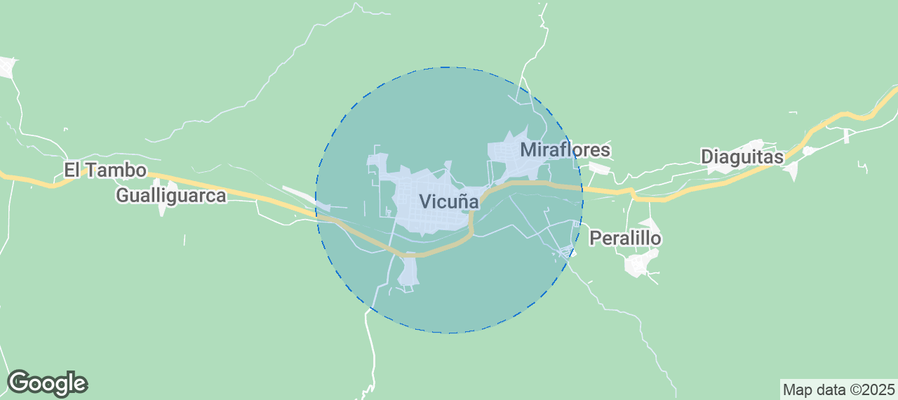Map of Airbnb listings in Vicuña