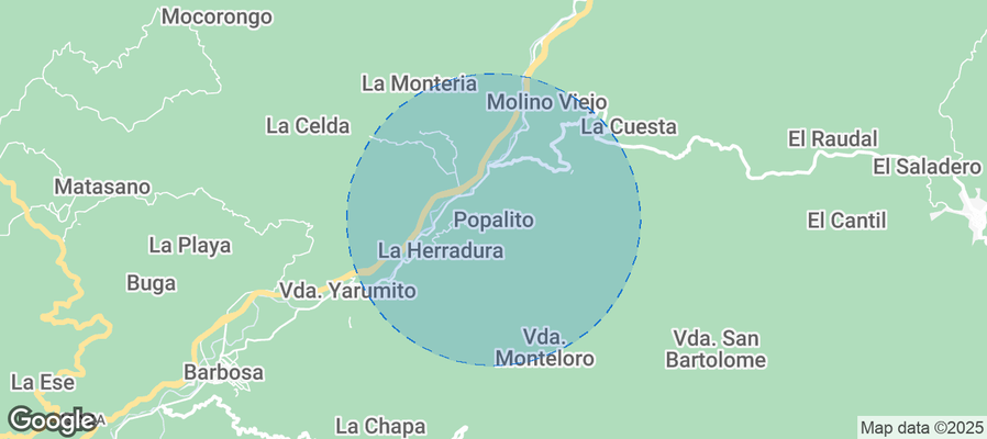 Discover Popalito Airbnb Analytics