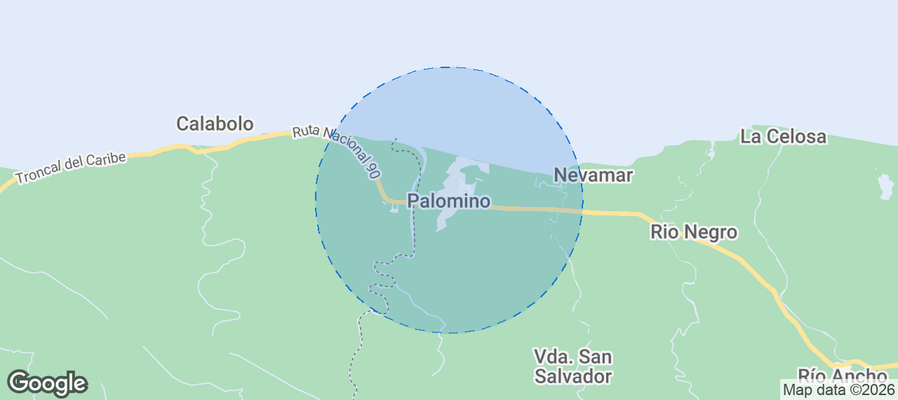 Map of Airbnb listings in Palomino