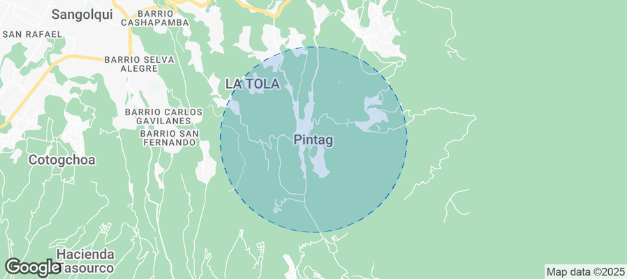 Discover Pintag Airbnb Analytics