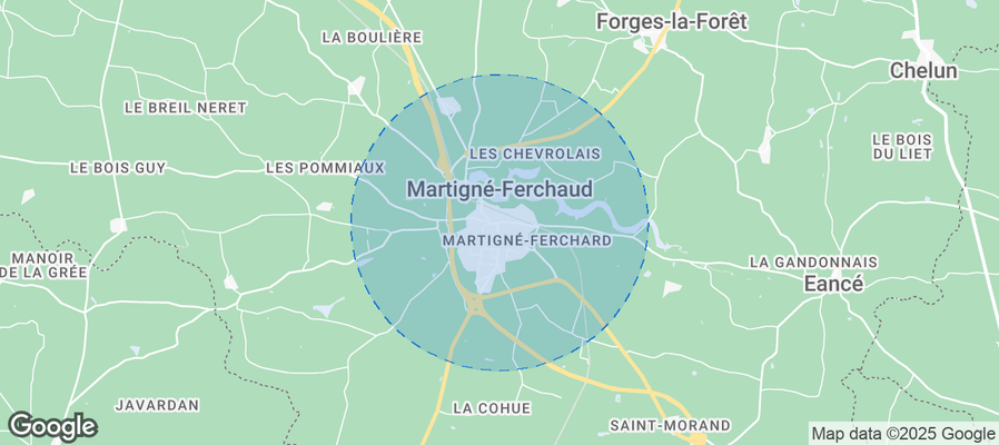 Discover Martigné-Ferchaud Airbnb Analytics