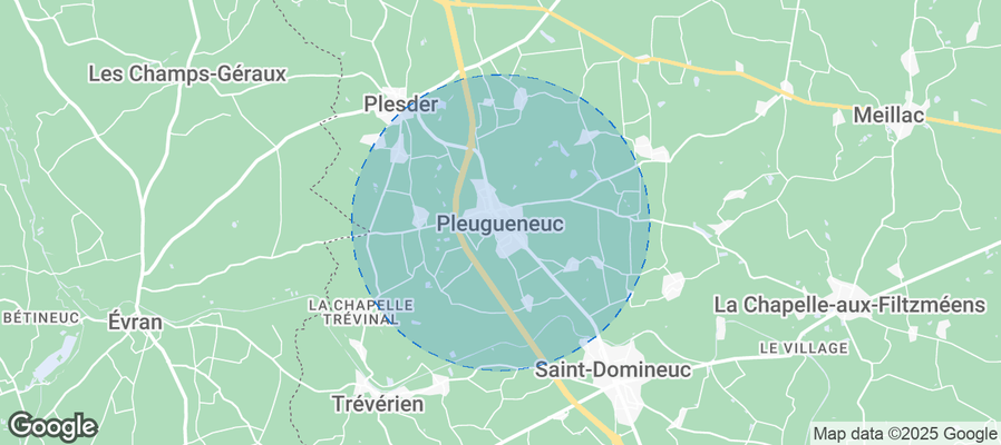 Discover Pleugueneuc Airbnb Analytics