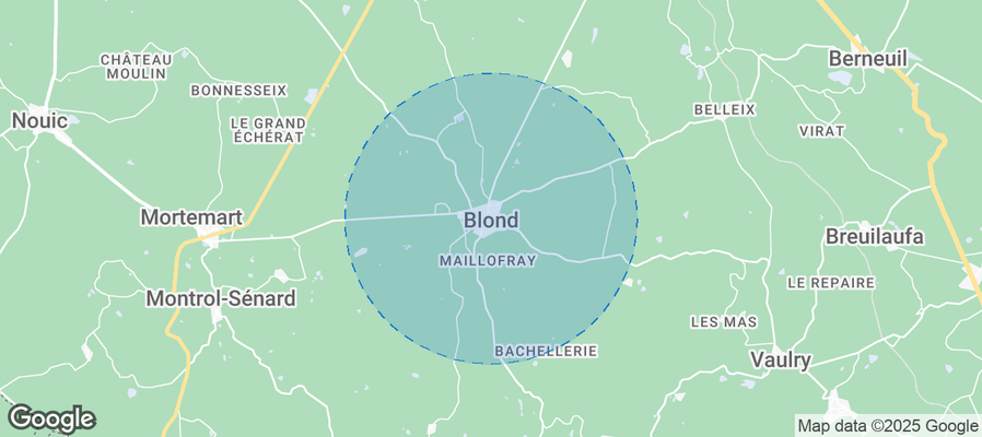 Discover Blond Airbnb Analytics