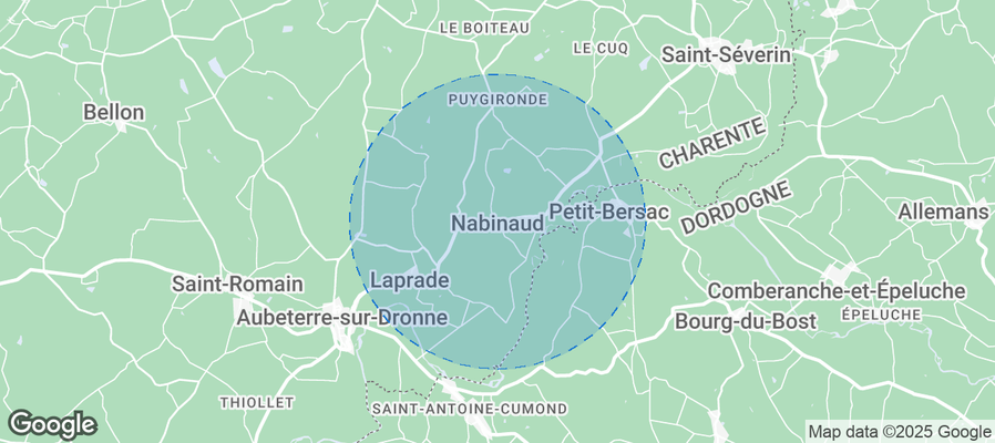 Discover Nabinaud Airbnb Analytics