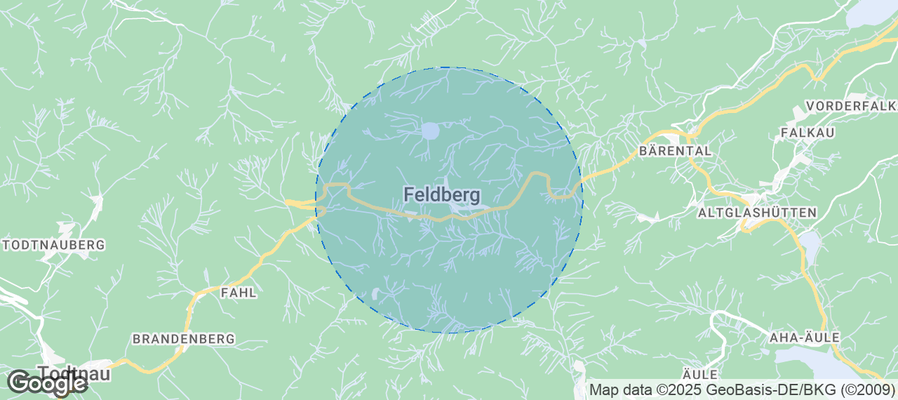 Map of Airbnb listings in Feldberg