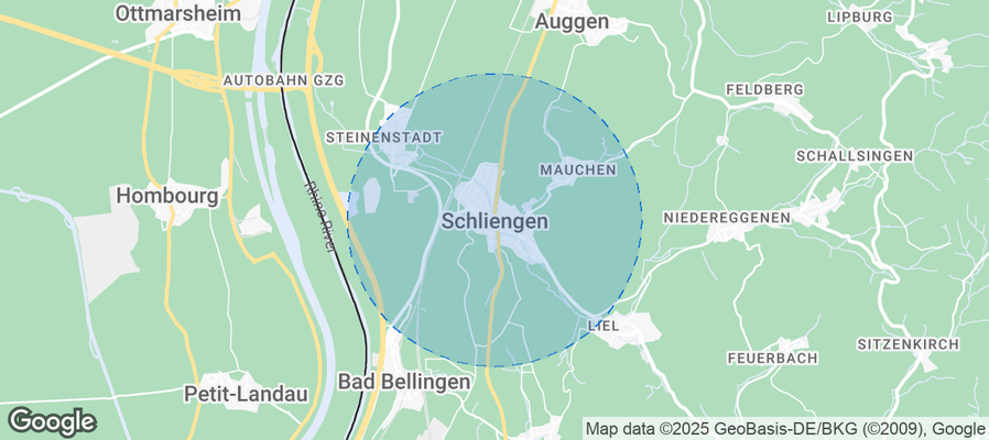 Discover Schliengen Airbnb Analytics