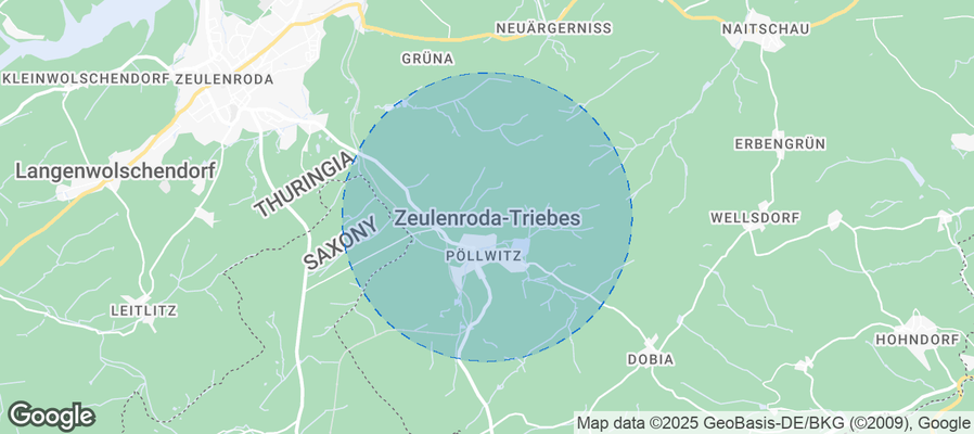 Discover Zeulenroda-Triebes Airbnb Analytics