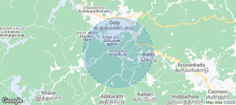 Map of Airbnb listings in Lovedale