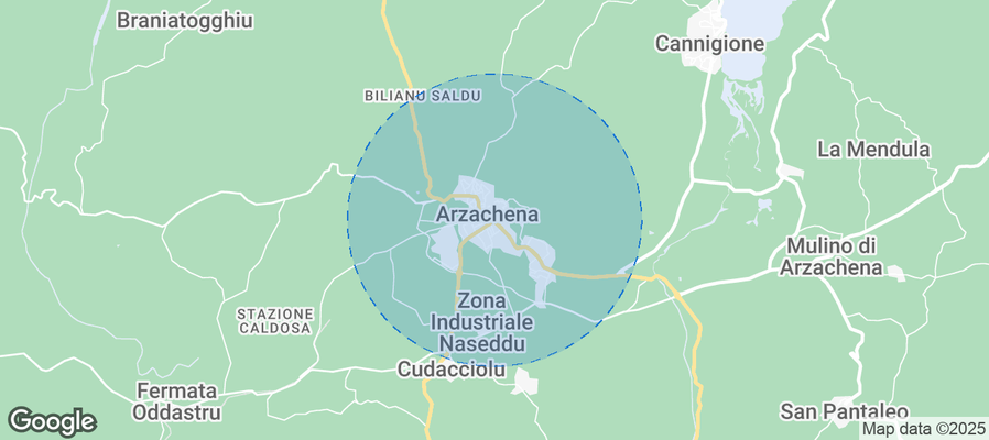 Discover Arzachena Airbnb Analytics