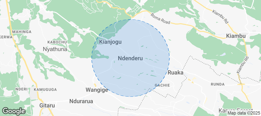 Map of Airbnb listings in Ndenderu ward