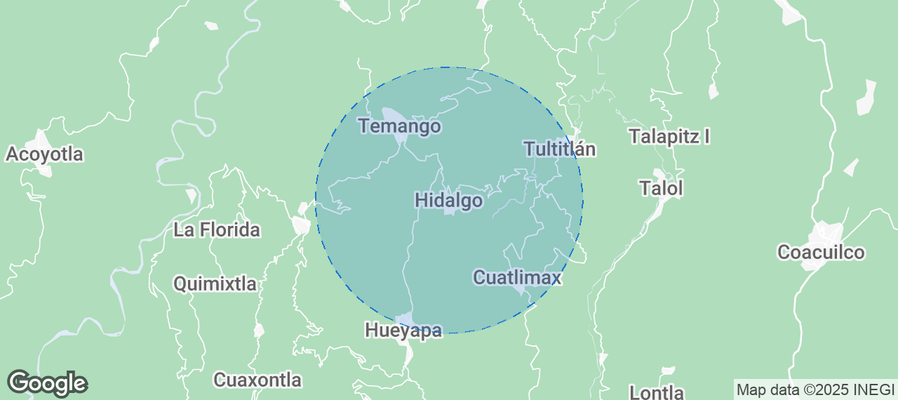 Discover Hidalgo Airbnb Analytics
