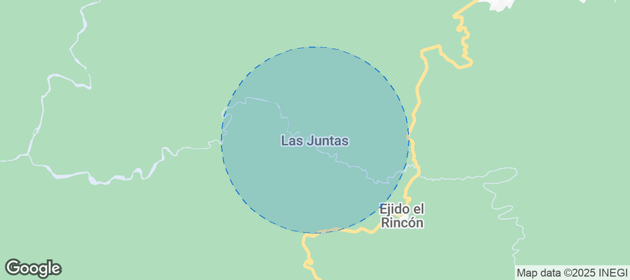 Map of Airbnb listings in Las Juntas