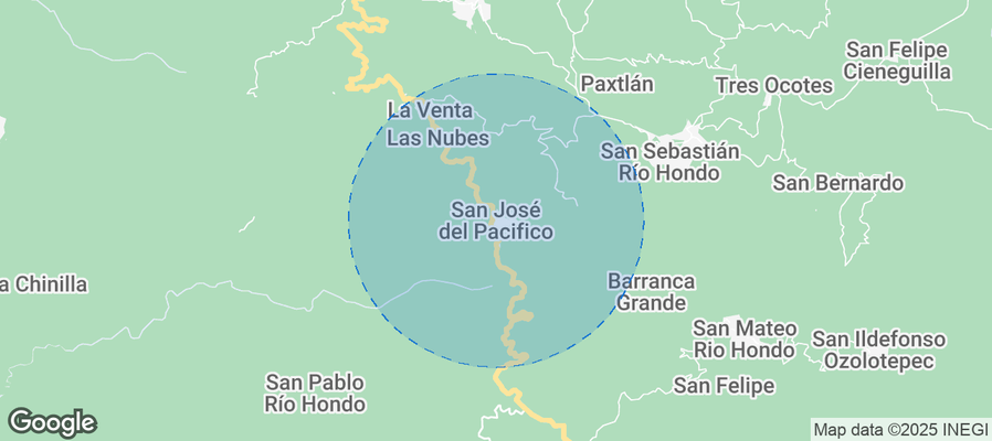 Map of Airbnb listings in San José del Pacífico