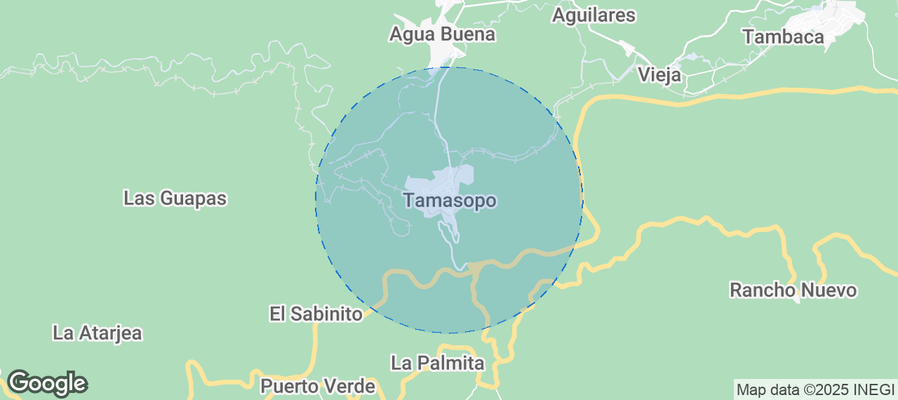 Map of Airbnb listings in Tamasopo