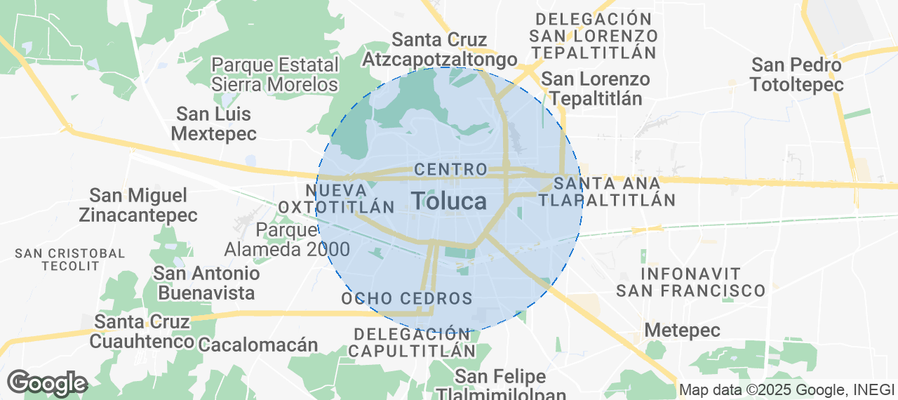 Discover Toluca Airbnb Analytics