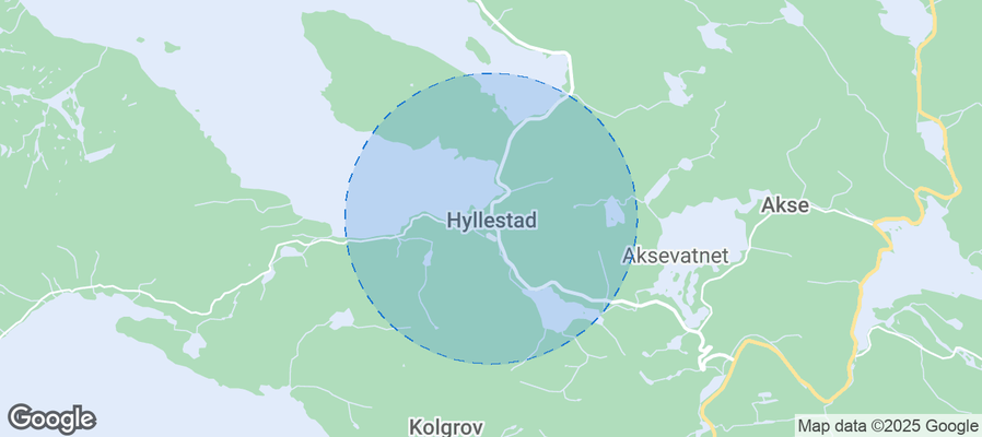 Discover Hyllestad Airbnb Analytics