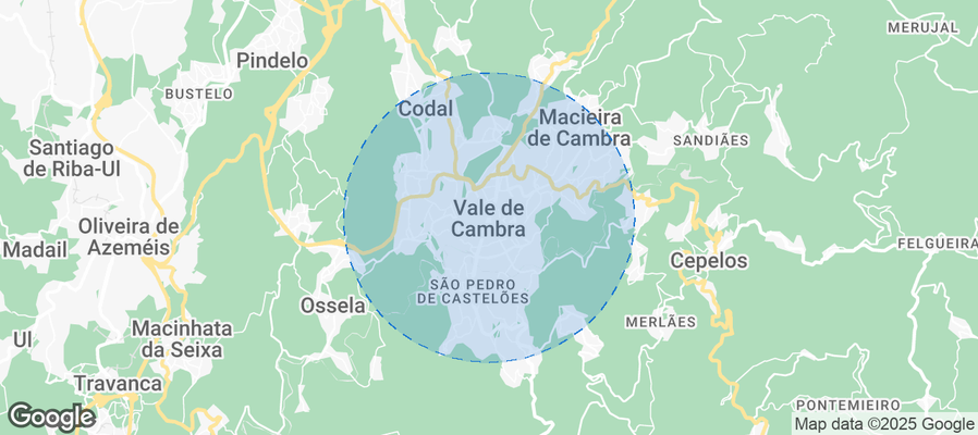 Map of Airbnb listings in Vale de Cambra