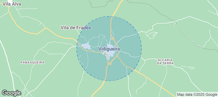Discover Vidigueira Airbnb Analytics