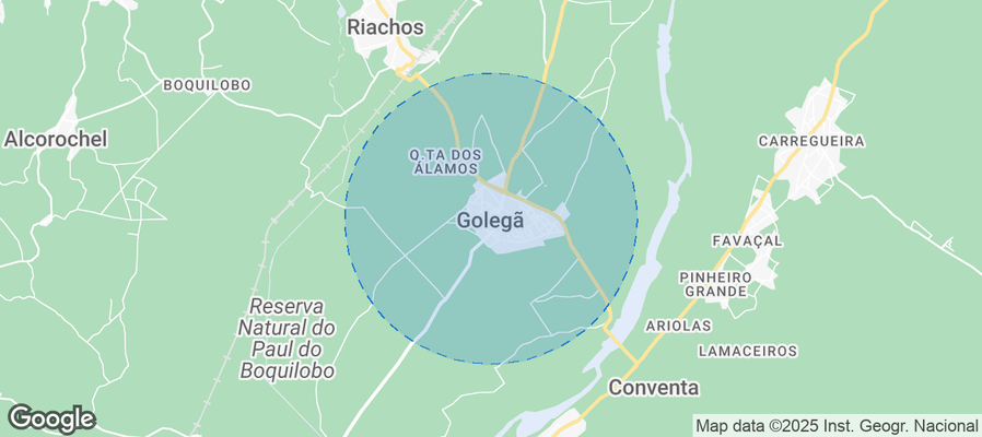 Map of Airbnb listings in Golegã