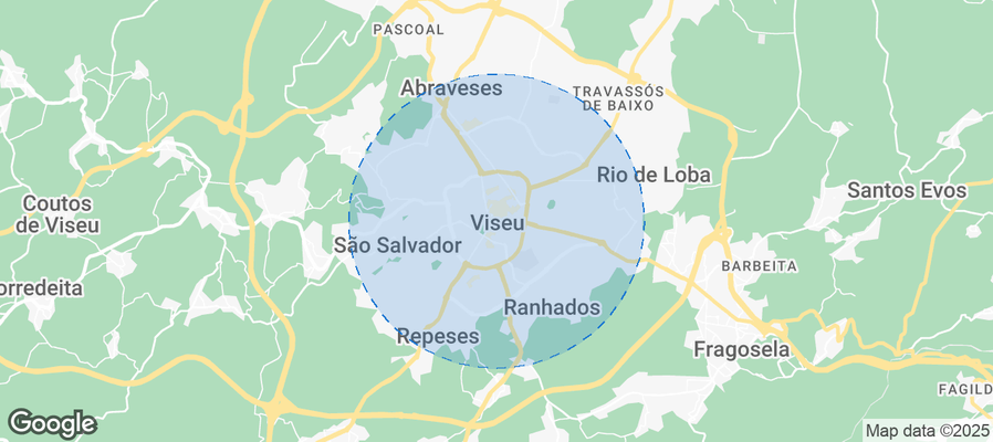 Discover Viseu Airbnb Analytics