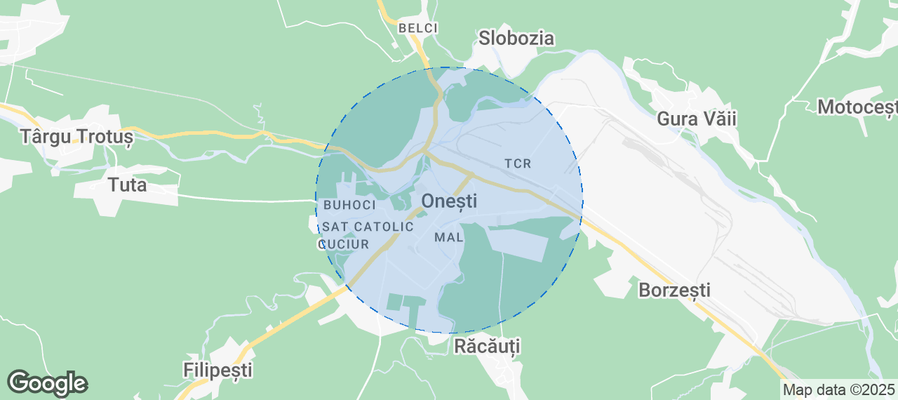 Discover Onești Airbnb Analytics