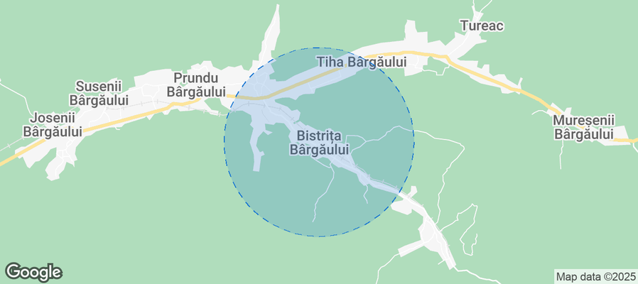 Map of Airbnb listings in Bistrița Bârgăului