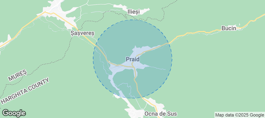 Discover Praid Airbnb Analytics