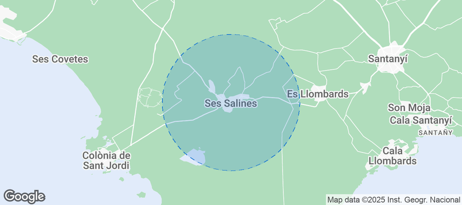 Map of Airbnb listings in Ses Salines