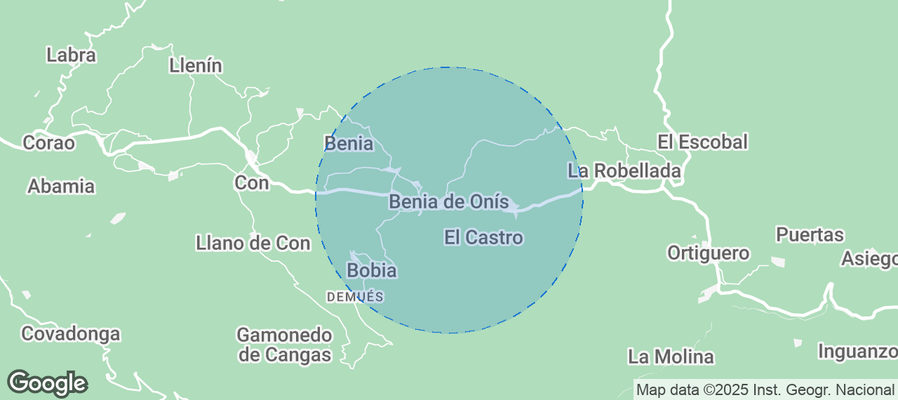 Discover Onís Airbnb Analytics