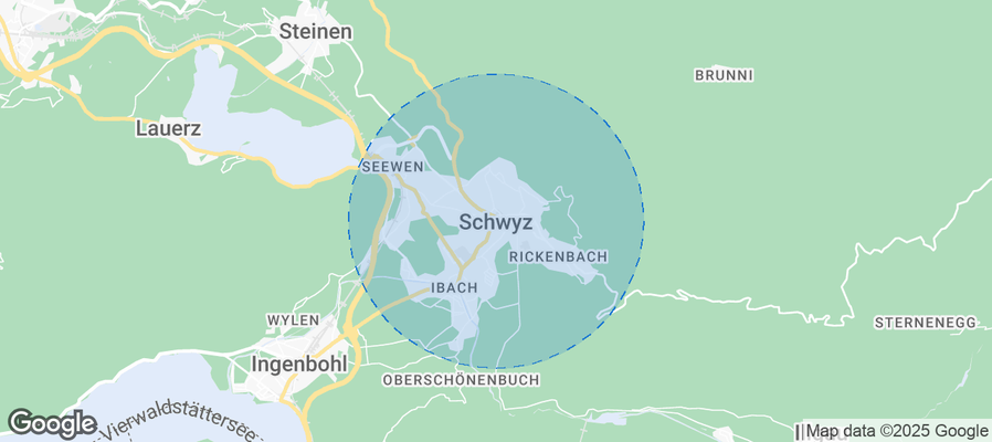 Discover Schwyz Airbnb Analytics