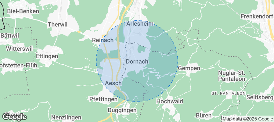 Discover Dornach Airbnb Analytics