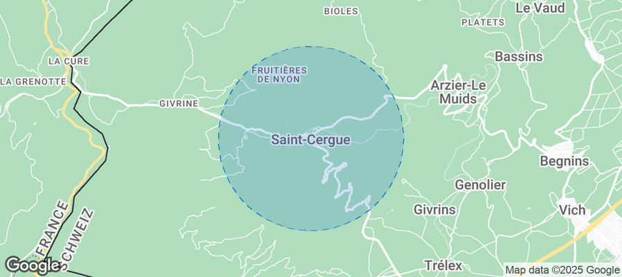 Discover Saint-Cergue Airbnb Analytics
