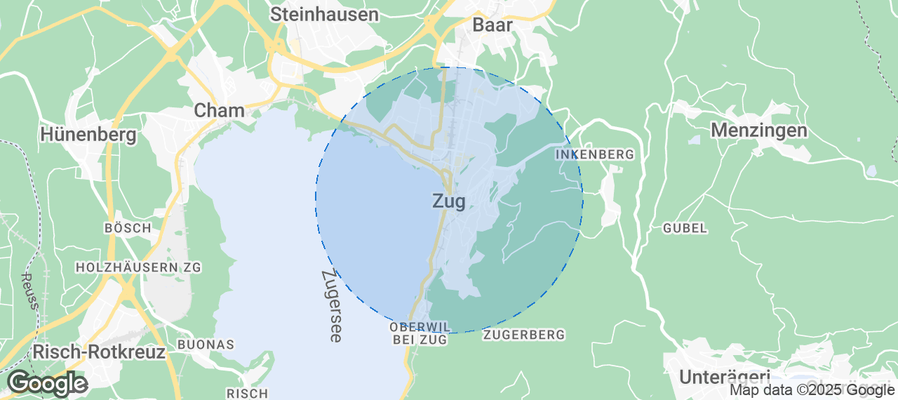 Discover Zug Airbnb Analytics
