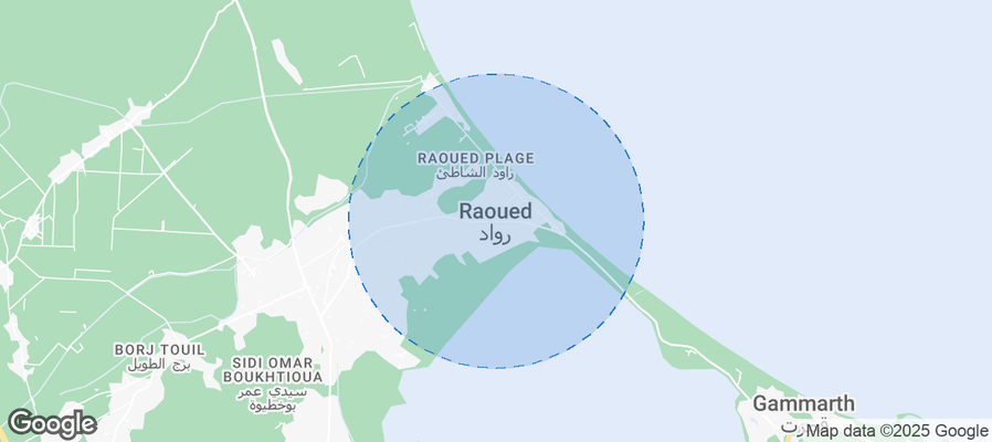 Discover Raoued Airbnb Analytics