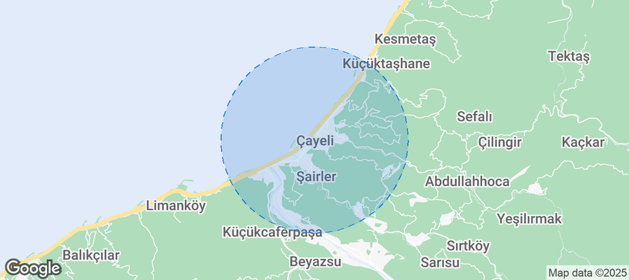 Map of Airbnb listings in Çayeli