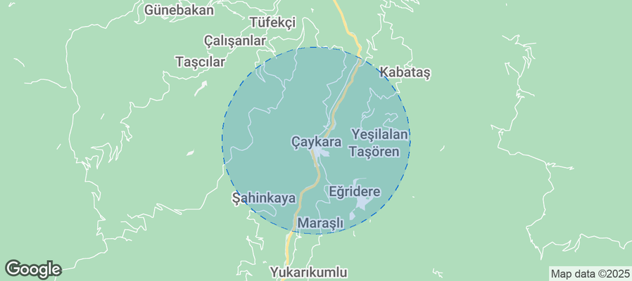 Map of Airbnb listings in Çaykara
