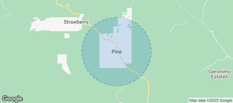 Map of Airbnb listings in Pine