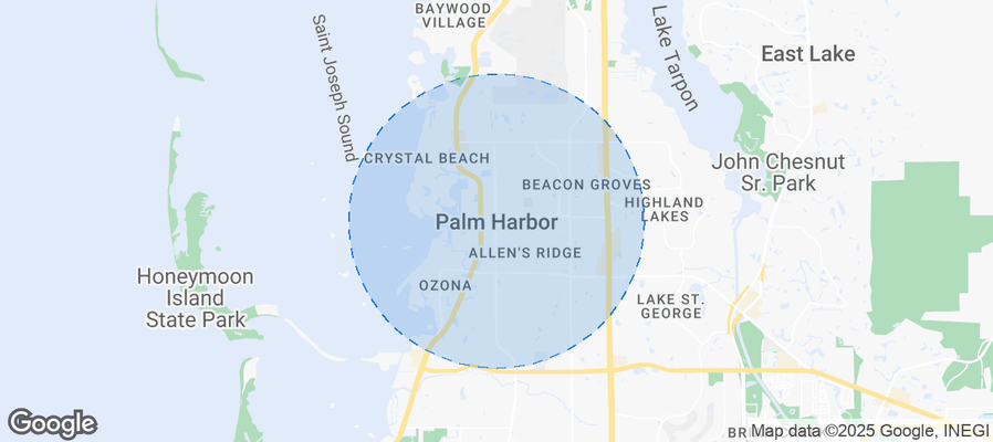 Map of Airbnb listings in Palm Harbor
