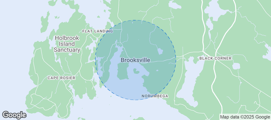 Map of Airbnb listings in Brooksville