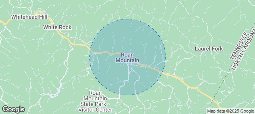 Map of Airbnb listings in Roan Mountain