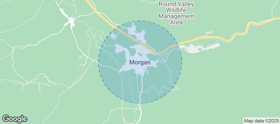 Map of Airbnb listings in Morgan