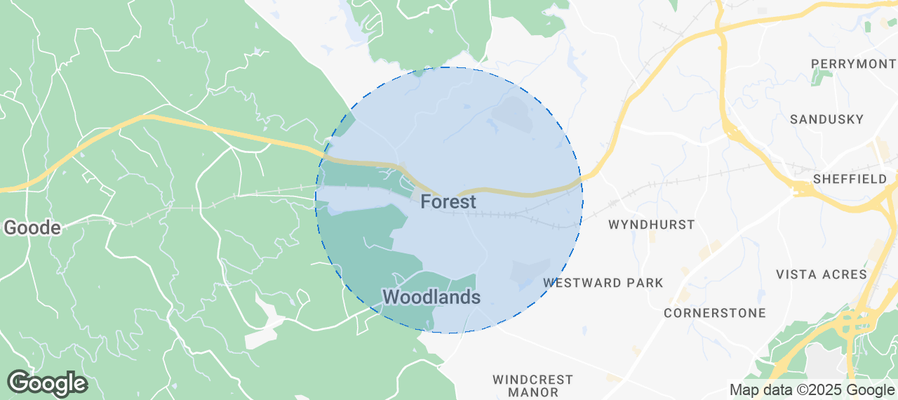 Map of Airbnb listings in Forest